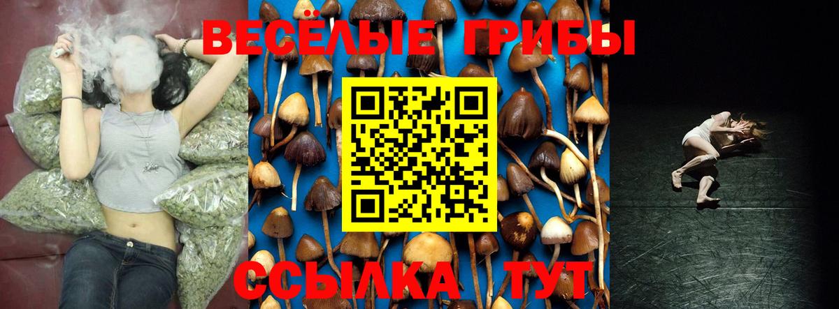 Галлюциногенные грибы Magic Shrooms  Вход с VPN  Реутов  Галлюциногенные грибы GOLDEN TEACHER 